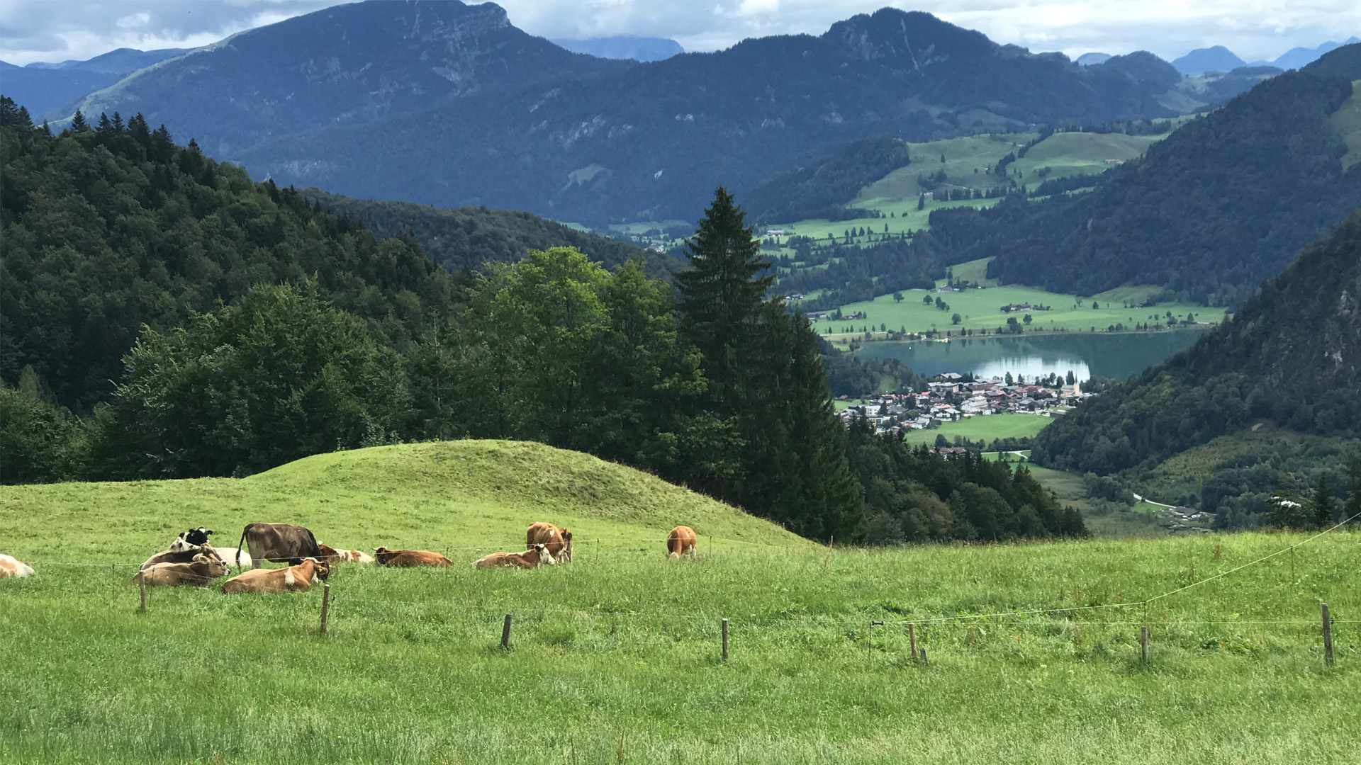 Jens Neubert / gebirgszauber.at - Header 2